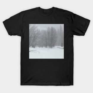 Snow Storm T-Shirt